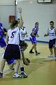 Basket 252066